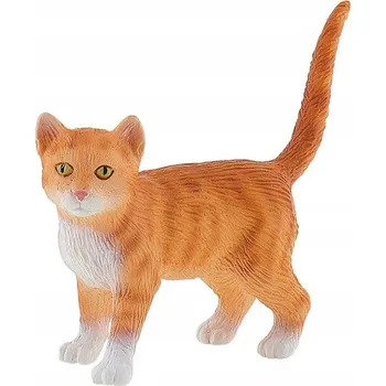 Americká krátkosrstá kočka Francis