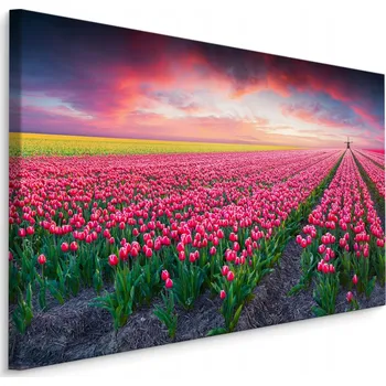 Obraz Obraz Tulipány KVĚTY Krajina 3D Příroda 30x20