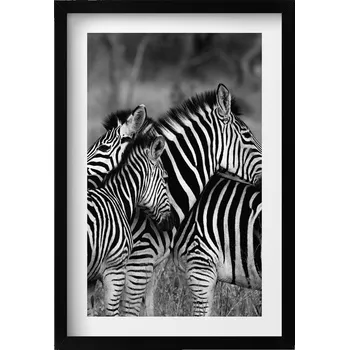 Obraz Dekorativní nástěnný obraz s rámem a grafikou loft Objímající se zebry 40x60 cm