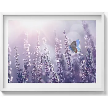 Obraz Dekorativní obraz v bílém rámu na zeď Motýl na lučních květech 80x60 cm