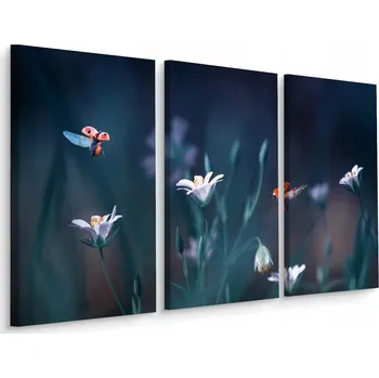 Obraz Obraz TRYPTYCH Berušky ROSTLINY Příroda 3D 60x40