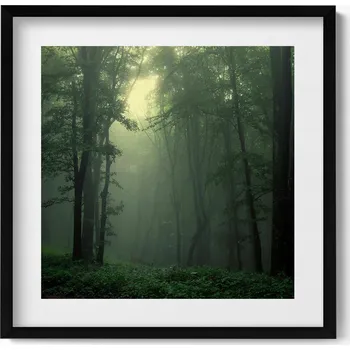 Obraz Obraz v rámu na zeď do obýváku Mlhavý les za úsvitu 50x50 cm