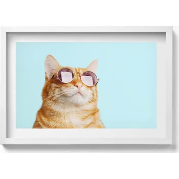 Obraz Závěsný obraz na zeď dekorace do bytu Legrační kočka v brýlích 60x40 cm