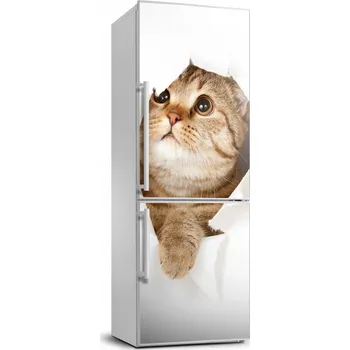 Fototapeta Samolepicí samolepící na ledničku na zeď Kočka 70x190
