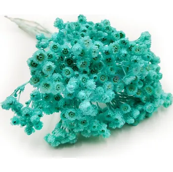 umělá květina Smil italský sušený - (Helichrysum italicum) - Mátový