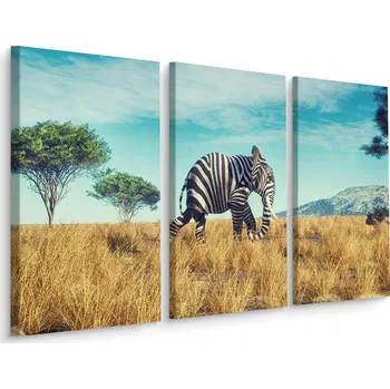 Obraz Obraz Triptych SLON v Černo-Bílých Pruzích 3D 60x40