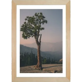 Obraz Rámeček rámeček na fotografii 21x29,7 cm, borovicový RÁM