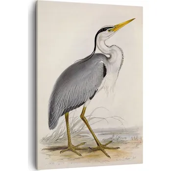 Obraz Obraz na plátně do obýváku, ložnice 50x70 cm - foto obraz ptáka na zeď, plátno