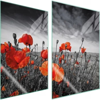 Obraz Krájecí deska TMK ArtDeko sklo 2 ks