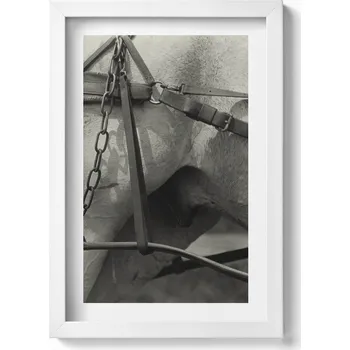 Obraz Obraz v bílém rámu dekorace na zeď Detail koňské uzdečky 20x30 cm