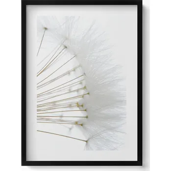 Obraz Moderní nástěnná dekorace obraz v černém rámu Bílé pampelišky 50x70 cm