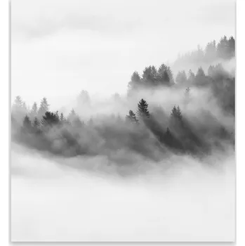 Kuchyňské prkénko Skleněná Ochranná Deska a Krájecí Prkénko | Indukce, Sporák ds-0398