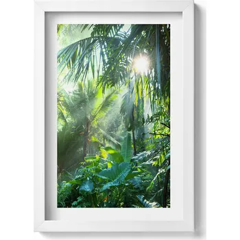 Obraz Dekorativní nástěnný obraz v bílém rámu Zelená džungle plná rostlin 20x30 cm