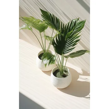 Plakát Plakát Obrysy květináčů bez rámu 53 x 81 cm