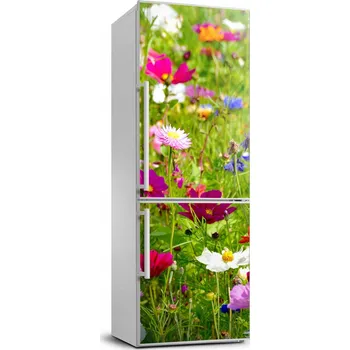 Fototapeta Foto Tapeta na lednici Polní květy 70x190 cm