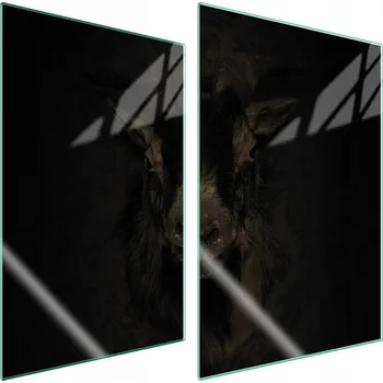 Obraz Krájecí deska TMK ArtDeko sklo 2 ks