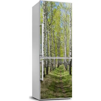 Fototapeta Samolepící Samolepka na ledničku Březový les