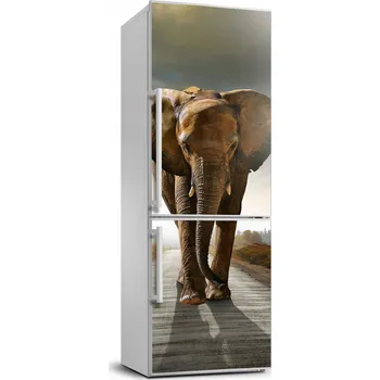 Fototapeta Samolepka na ledničku - Chodící slon XL