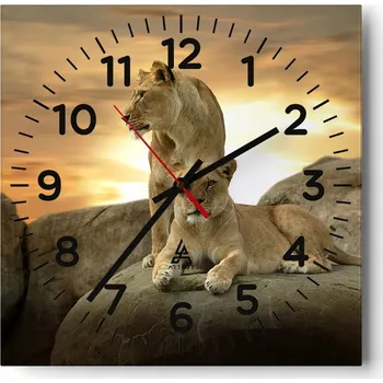 Hodiny Kuchyňské nástěnné hodiny 30x30 Zvířata Skleněné hodiny do obýváku Moderní Tiché