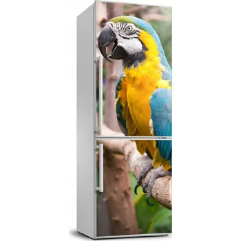 Fototapeta Foto Samolepka na ledničku na zeď Papoušek Ara 70x190