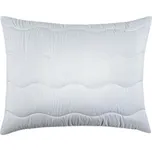 Polštář Aloe Vera 90X70cm TiaHome