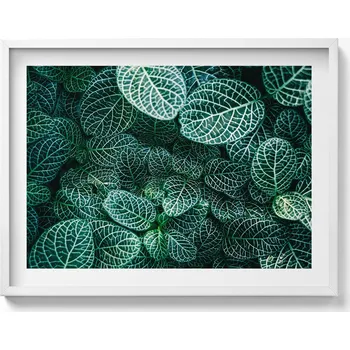 Obraz Ozdobný nástěnný obraz v rámu s grafikou loft Zelené divoké listy 80x60 cm