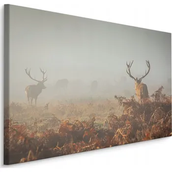 Obraz Obraz do jídelny jeleni pole mlha SLUNCE 40x30