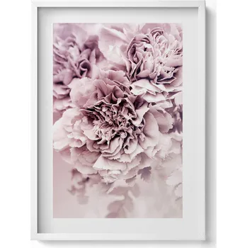 Obraz Obraz s bílým rámem a grafikou na zeď Bledě růžové pivoňky okvětní lístky 50x70 cm