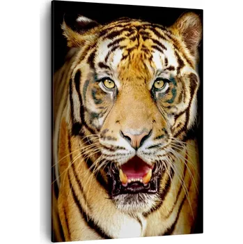 Obraz Obraz na plátně do obýváku ložnice 50x70 zvířata obrazy na zeď canvas