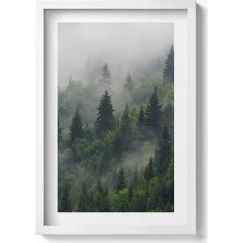 Obraz Nástěnný obraz v bílém rámu dekorace interiéru Krajina les v mlze 40x60 cm