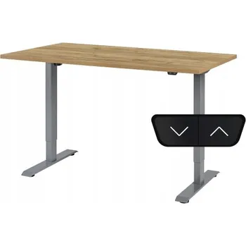 Psací stůl Obdélníkový psací stůl ProErgo 160 x 80 x 121 cm, odstíny šedé