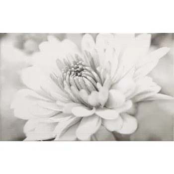 Obklad OBKLAD GARDA INSERTO FLOWER 25X40