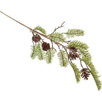 Obraz Větev smrková se šiškami 70 cm