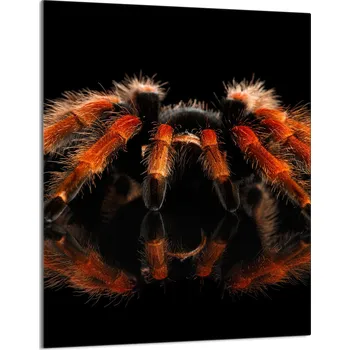 Kuchyňské prkénko Krájecí deska TMK ArtDeko sklo 1 ks