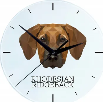 Hodiny Nástěnné hodiny Art-Dog vícebarevné 20 cm