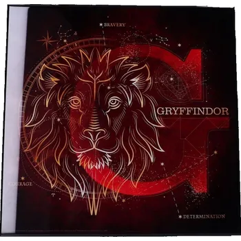 Obraz Fotografie Harry Potter 32 x 32 cm