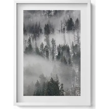 Obraz Nástěnný obraz v bílém rámu dekorace interiéru Krajina mlhavý les 50x70 cm