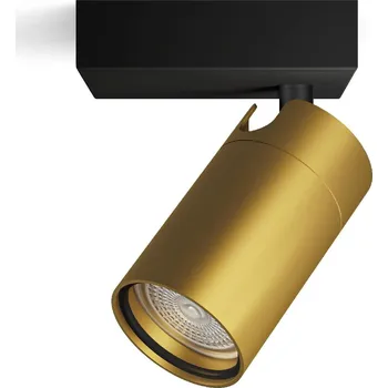 Nástěnné svítidlo Philips Idris bodové koupelnové svítidlo 1x GU10 5W bez zdroje IP44, černá/zlatá