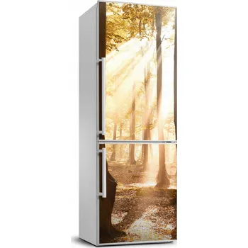 Fototapeta Samolepka na ledničku samolepící Les na podzim 70x190