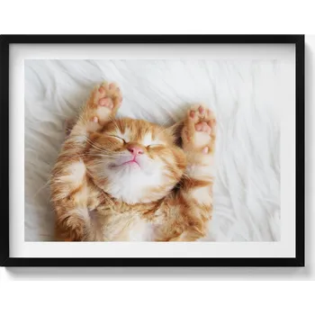 Obraz Ozdobný nástěnný obraz v černém rámu s grafikou Malé spící kotě 80x60 cm