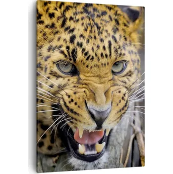 Obraz Obraz na plátně do obýváku ložnice 50x70 zvířata obrazy na zeď canvas