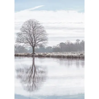Obraz Plakát Odraz stromu v rybníku bez rámu 42 x 59,4 cm