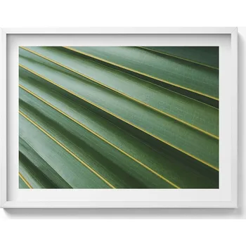 Obraz Obraz v bílém rámu dekorace na zeď Faktura zelené rostliny 80x60 cm