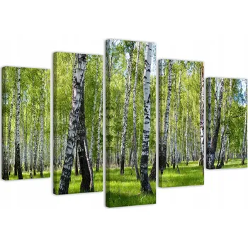 Obraz OBRAZ 5-CZ typ A Břízy 200x100