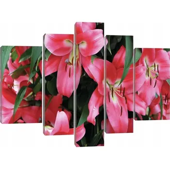 Obraz OBRAZ NA PLÁTNĚ CANVAS 170x100 LILIE KVĚTINY