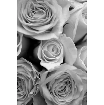 Obraz Plakát Detail kytice růží bez rámu 20 x 30 cm