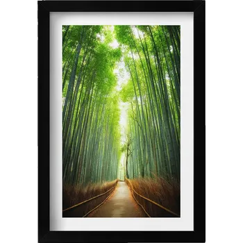 Obraz Obraz dekorace na zeď Bambusový les Arashiyama, Kjóto, Japonsko 20x30 cm