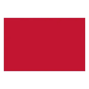 ubrus UBRUS PLASTOVÝ ČERVENÝ ČERVEŇ PÁRTY OSLAVA 120X180 CM