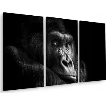 Obraz Obraz Triptych GORILA Opice Portrét Dekorace 3D 60x40