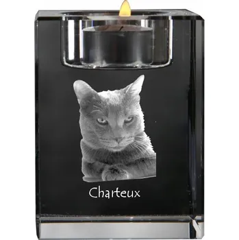 Svícen Chartreux - svícen s fotografií koně, křišťálový podstavec na čajovou svíčku,